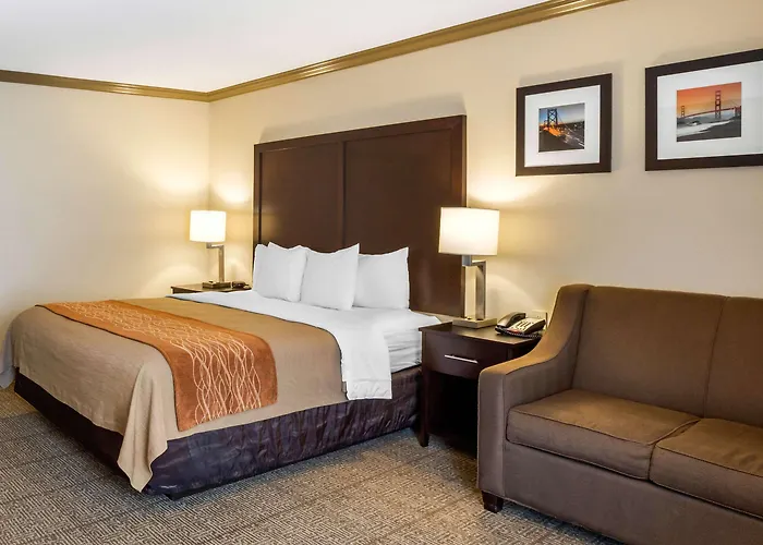 Comfort Inn Castro Valley